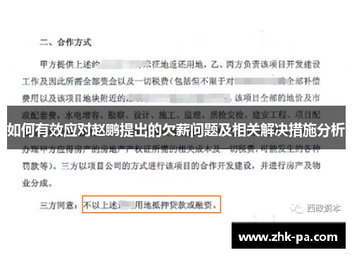 如何有效应对赵鹏提出的欠薪问题及相关解决措施分析