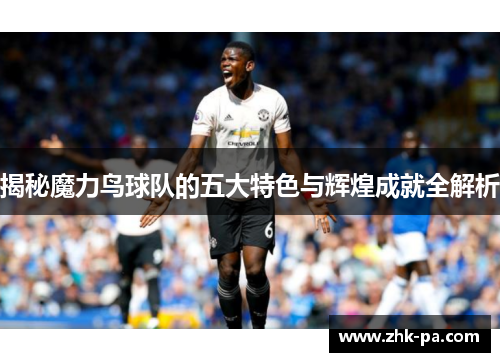 揭秘魔力鸟球队的五大特色与辉煌成就全解析