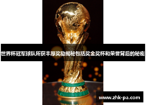 世界杯冠军球队所获丰厚奖励揭秘包括奖金奖杯和荣誉背后的秘密