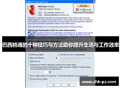 巴西精通的十种技巧与方法助你提升生活与工作效率