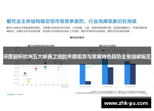 深度剖析欧洲五大联赛之间的关键差异与发展特色趋势全景洞察纵览