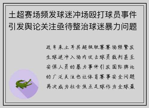 土超赛场频发球迷冲场殴打球员事件引发舆论关注亟待整治球迷暴力问题 土超赛场频发球迷冲场殴打球员事件引发舆论关注亟待整治球迷暴力问题